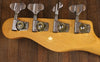Godin A4 Acousticaster Fretless Bass Acoustibass L.R. Baggs Model