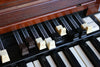Hammond B3 Organ (Rental Backline Owned / Maintained)