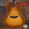 2007 Taylor T5 Limited Edition Fall Maple