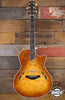 2007 Taylor T5 Limited Edition Fall Maple