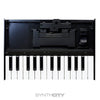 Roland K-25m Keyboard Unit