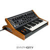 Moog Subsequent 25 with Moog SR Case